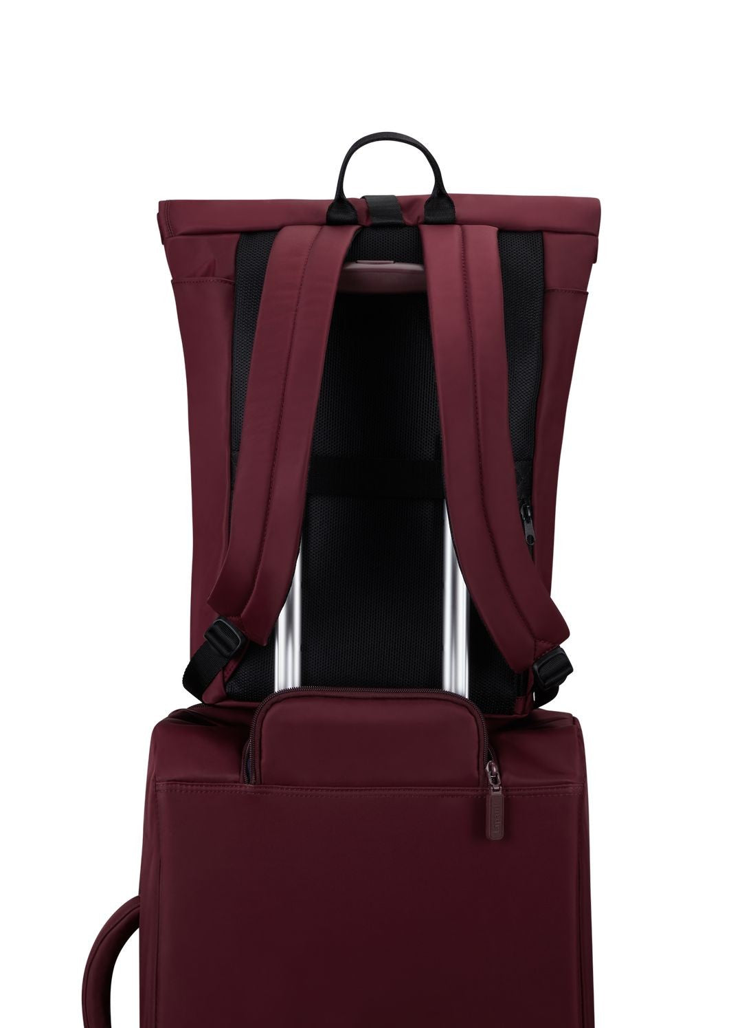 RollTop City Plume Backpack