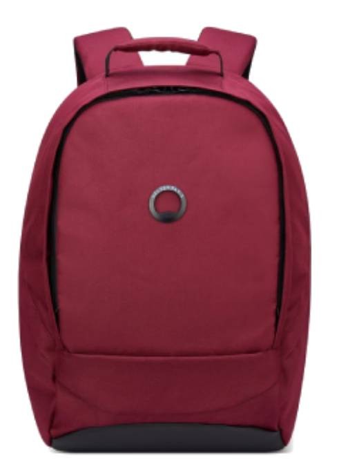 DELSEY Securban Backpack 13.3 "