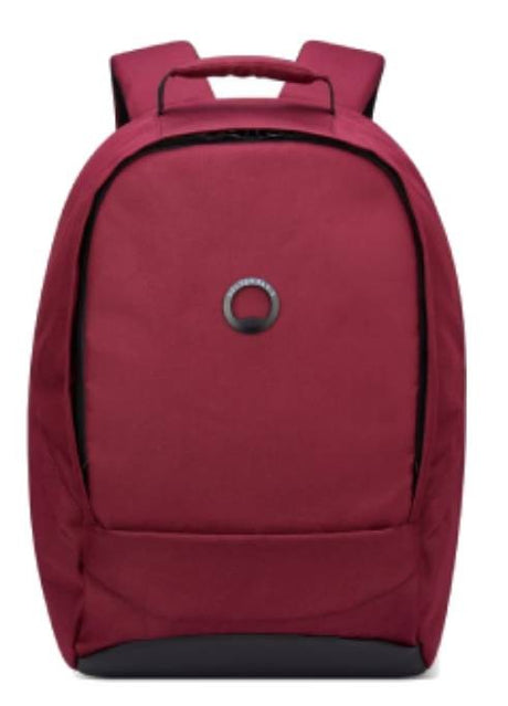 DELSEY Securban backpack 13.3 "